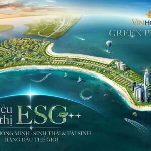 Hàng Vin cần giờ